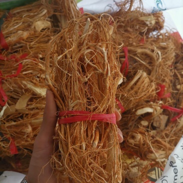 广东山挖五指毛桃加工，干净无泥，现挖现加工，厂家直售！
