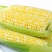 云南新鲜水果玉米3/5/10斤(单果200-400g)新