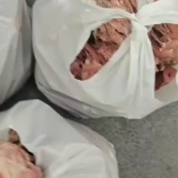郑州莱聚商贸有限公司熟食系列半成品猪头肉