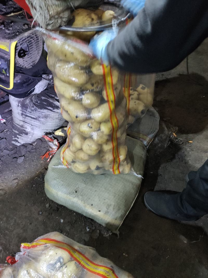 V7，土豆热销中，干洗，货源充足长期供应