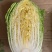热销白菜山东白菜胶东特产基地直供