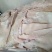 郑州莱聚商贸有限公司猪副产品背皮