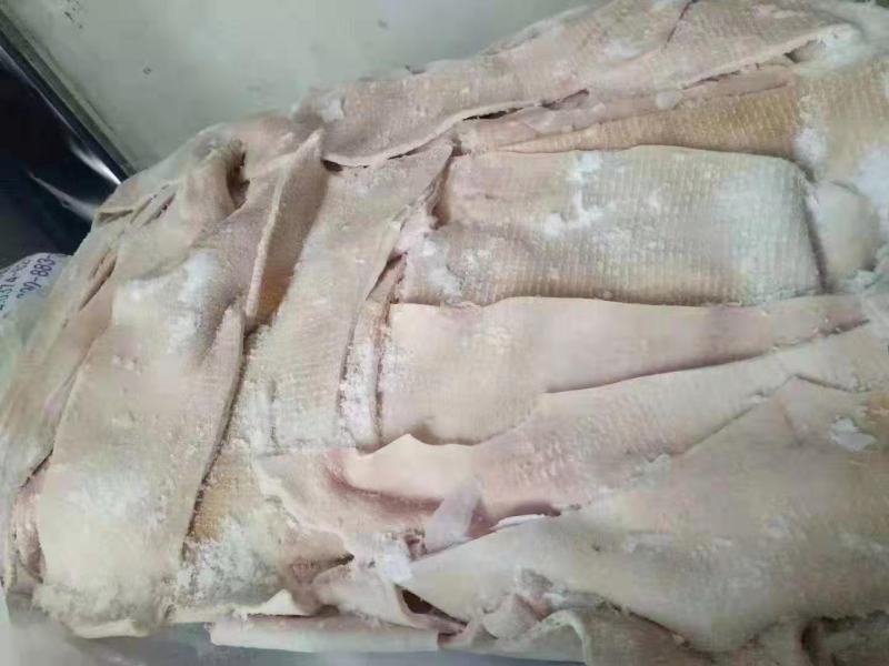 郑州莱聚商贸有限公司猪副产品背皮