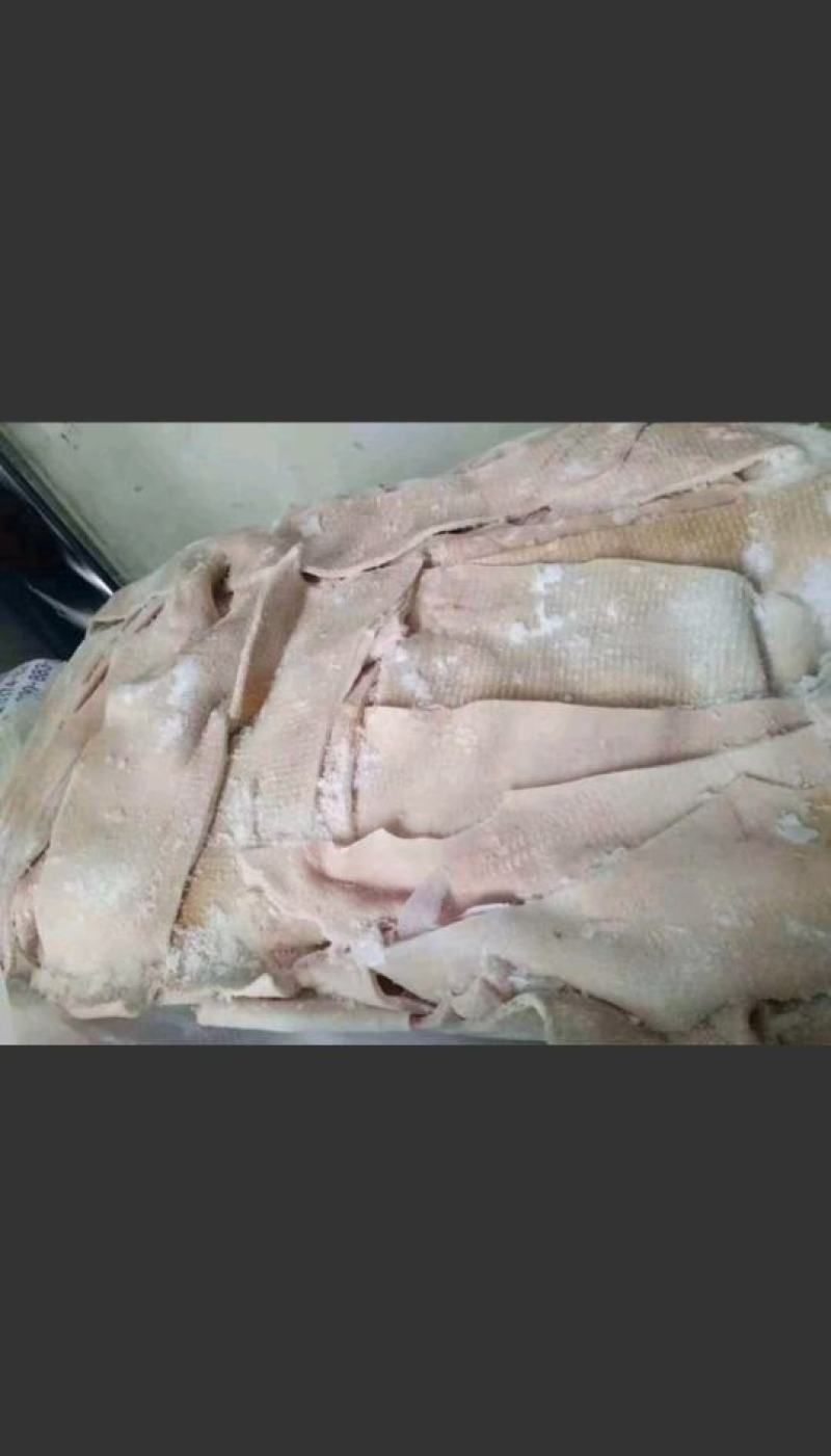 郑州莱聚商贸有限公司猪副产品背皮