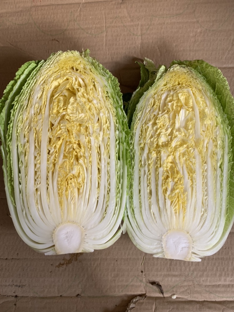 热销白菜山东白菜胶东白菜黄心白菜
