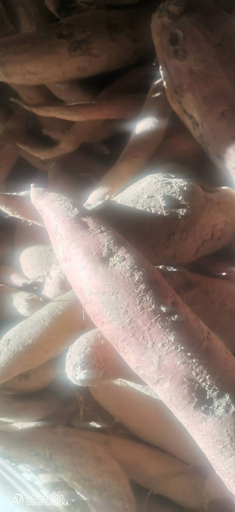红薯/西瓜红红薯/产地直发/老板热情/量大价优
