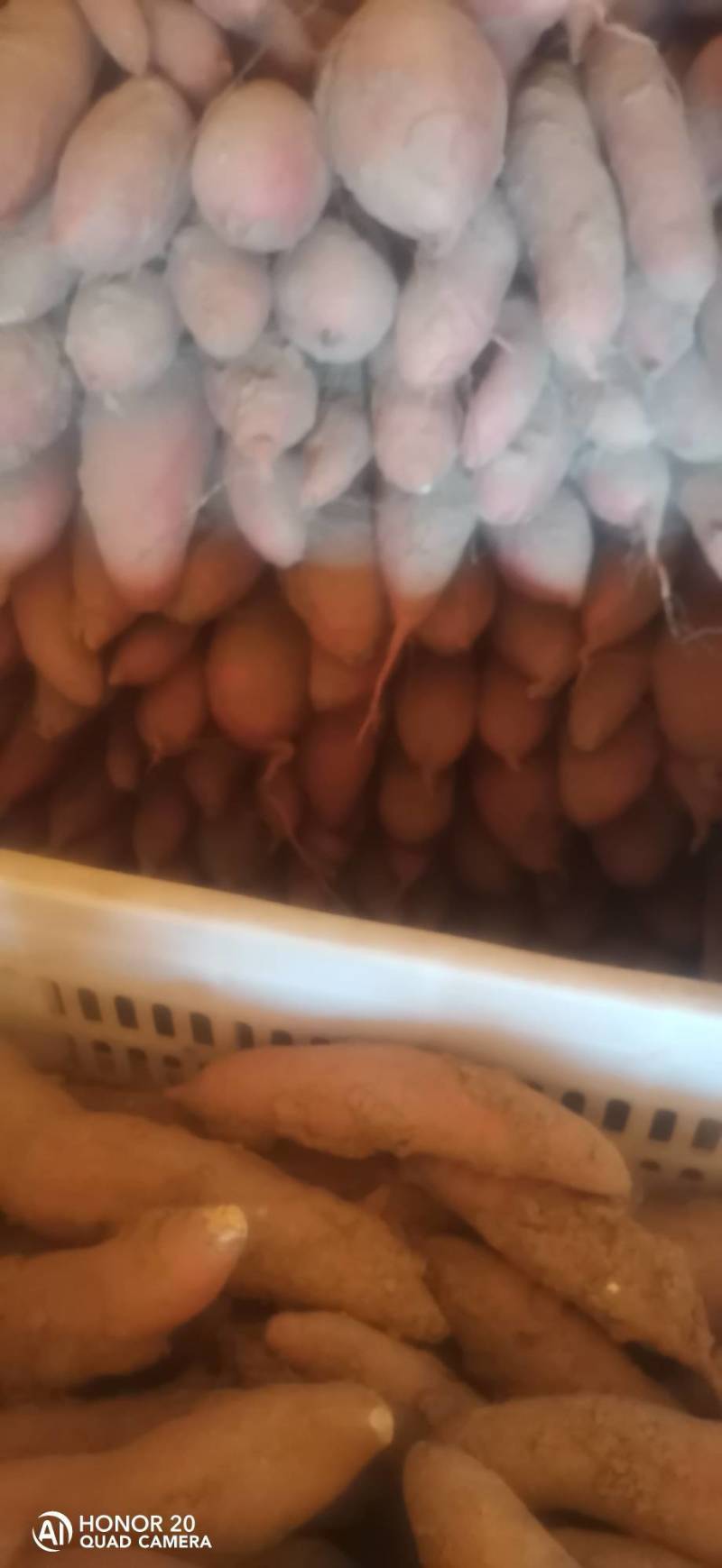 红薯/西瓜红红薯/产地直发/老板热情/量大价优