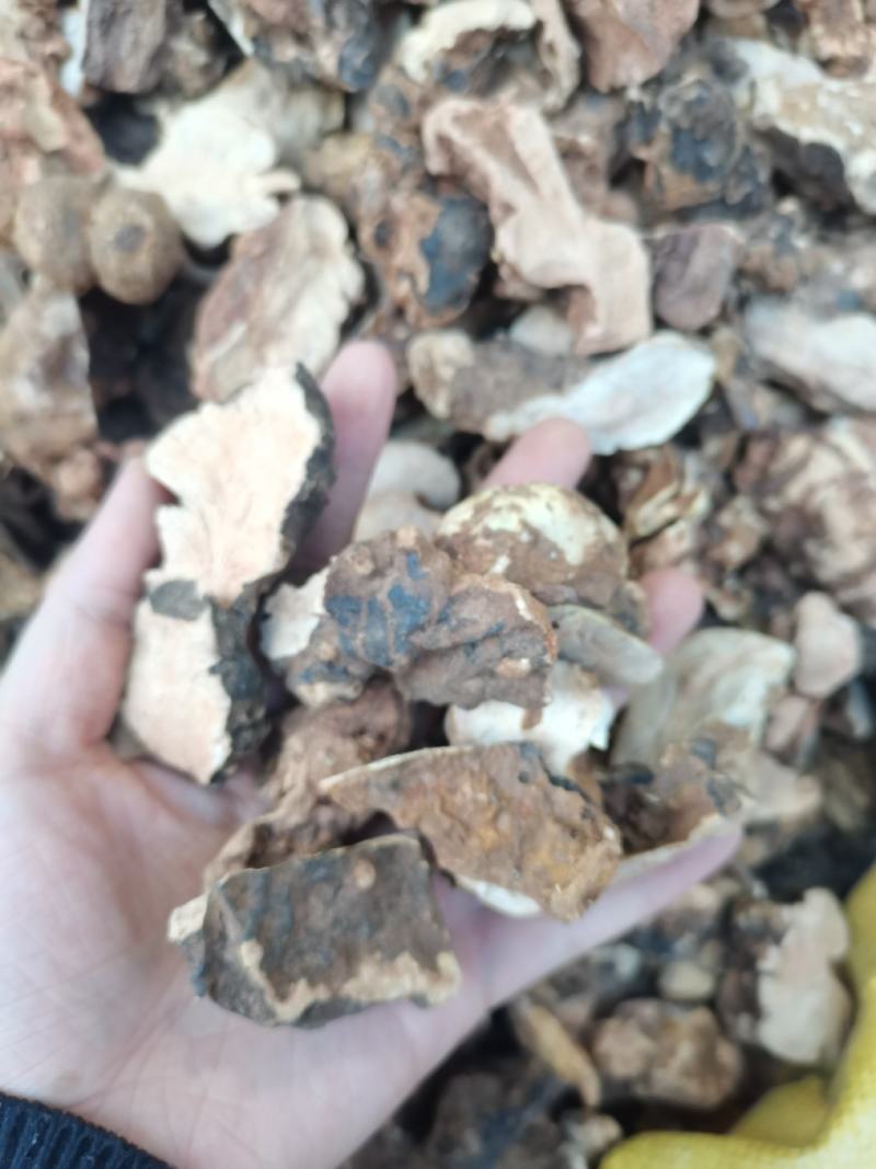 土茯苓状块土茯苓无硫土茯苓甘甜土茯苓