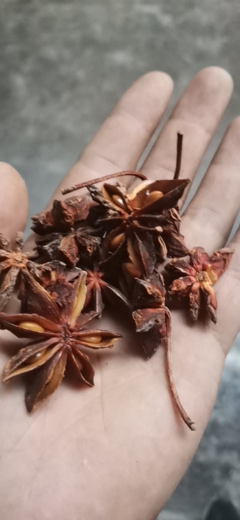 广西优无硫八角足干货5斤包邮免费磨粉调料调味品香料调味料