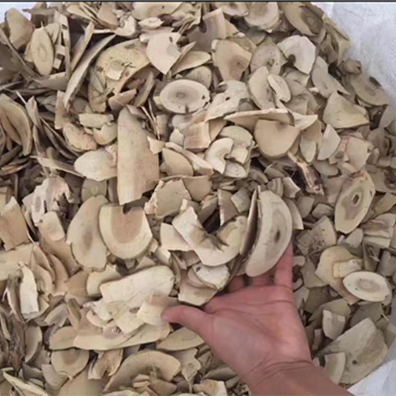 接骨木扦扦活接骨风接骨丹续骨木各种中药材批发