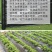 加厚1.4丝抗老化黑地膜塑料薄膜除草保温保湿防草大棚果树