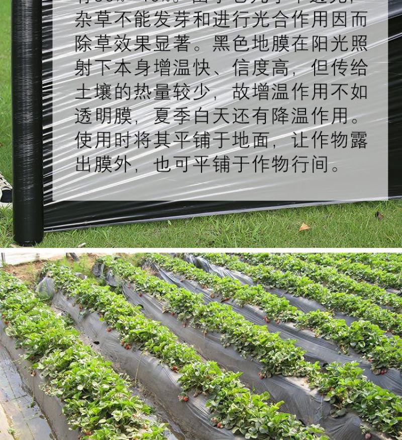 加厚1.4丝抗老化黑地膜塑料薄膜除草保温保湿防草大棚果树