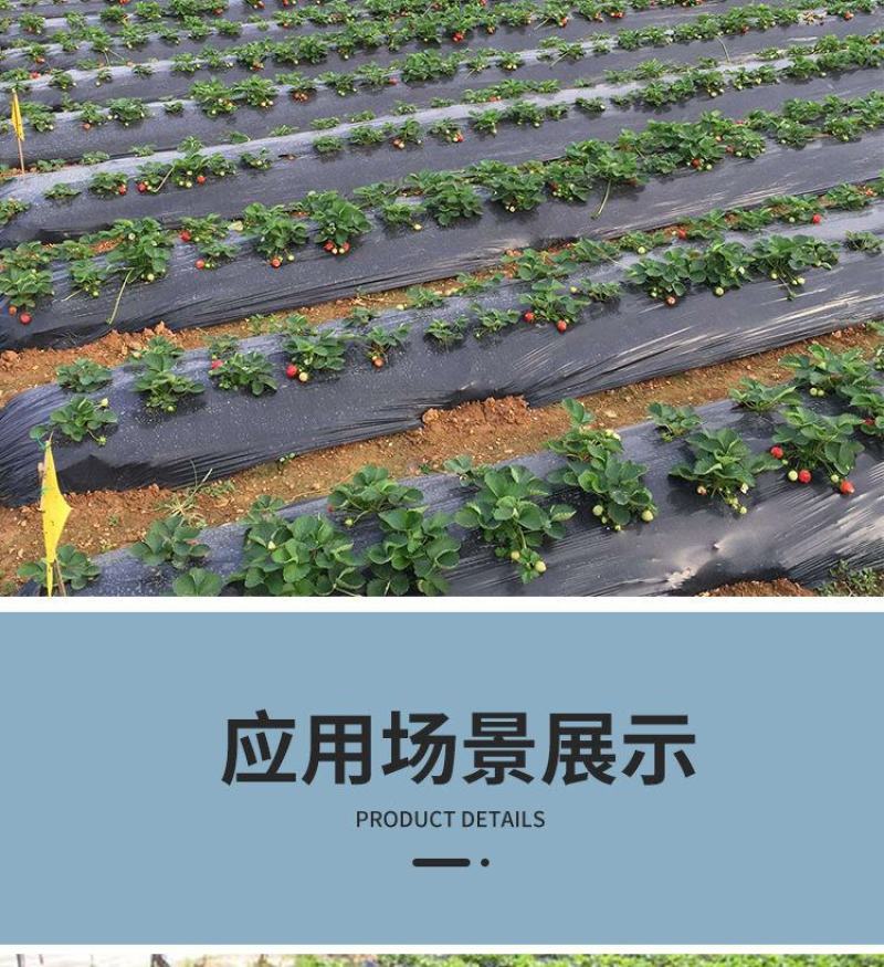 加厚1.4丝抗老化黑地膜塑料薄膜除草保温保湿防草大棚果树