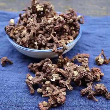 拐枣干中药材干货拐枣果万寿新货枳椇子