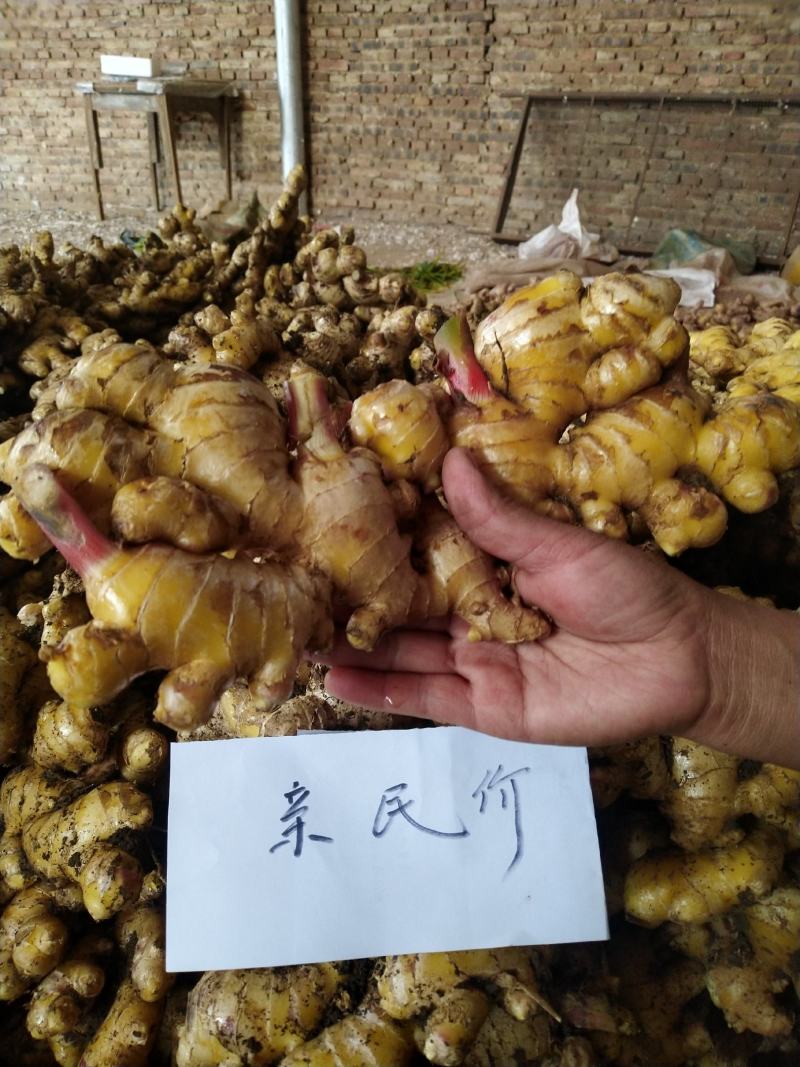 云南大理紫姜（乌姜菜姜）基地批发诚信经营对接全国客商