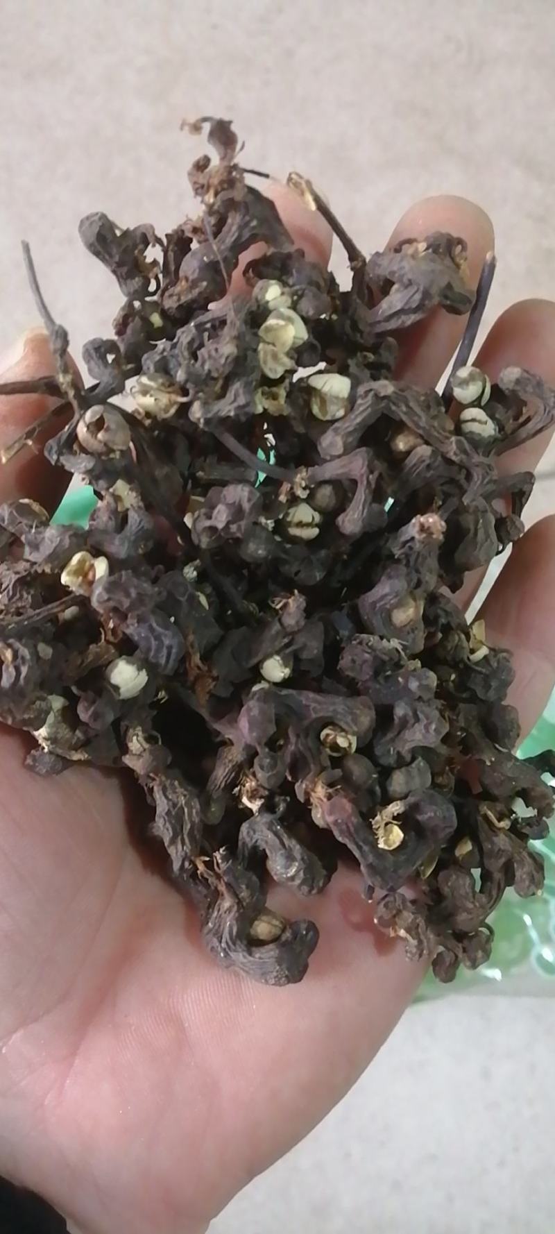 拐枣干中药材干货拐枣果万寿新货枳椇子
