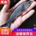 常年面向全国供应优质鱼苗品种齐全！欢迎采购诚信经营