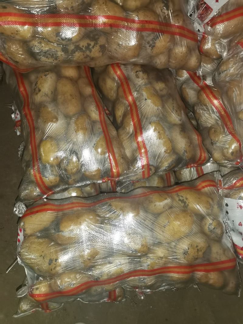 黄皮黄心，个头均匀，薯型好，颜色好，三两通货干洗微七土豆