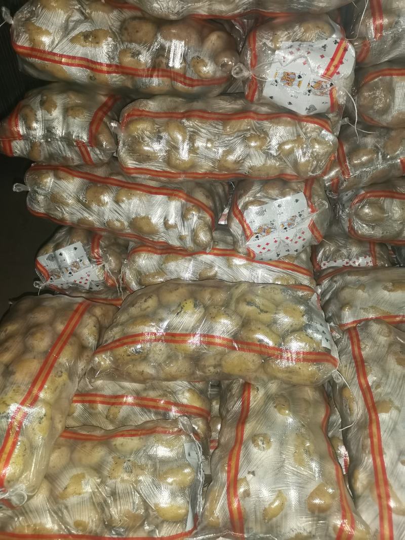 黄皮黄心，个头均匀，薯型好，颜色好，三两通货干洗微七土豆