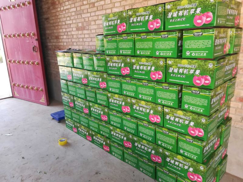 陕西澄城县红富士苹果，冷库货原大量供应中。