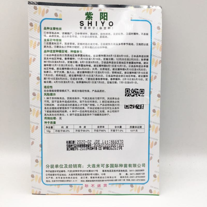 进口米可多紫阳甘蓝种子，中早熟紫红甘蓝种子