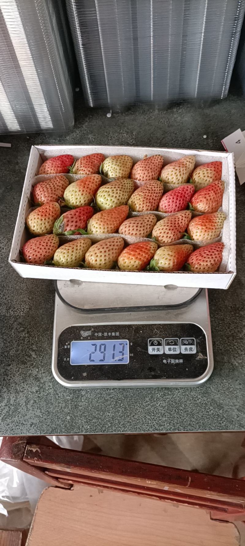 草莓大量上市可批发一件代发