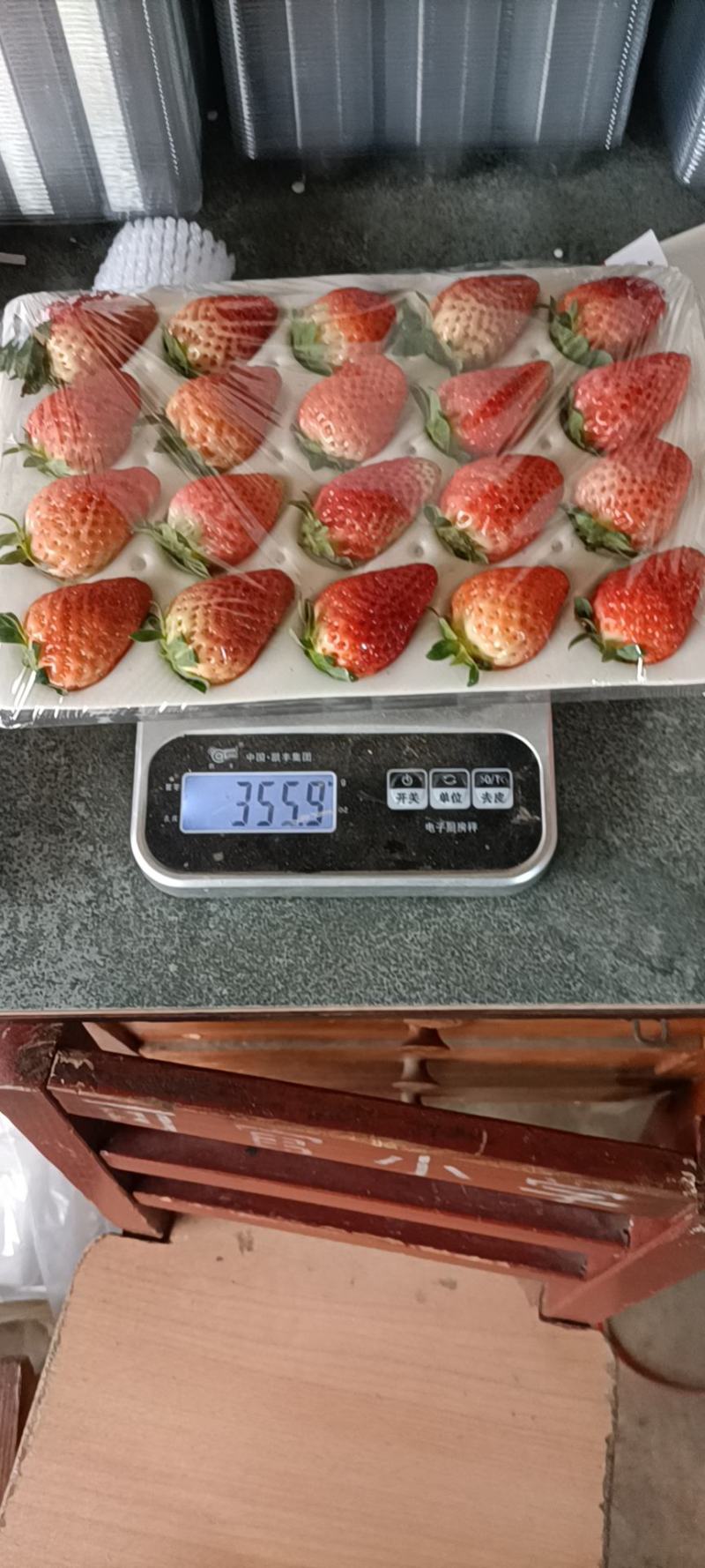 草莓大量上市可批发一件代发