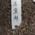 新采三尖杉种子藏杉桃松狗尾松三尖松山榧树头形杉种籽子