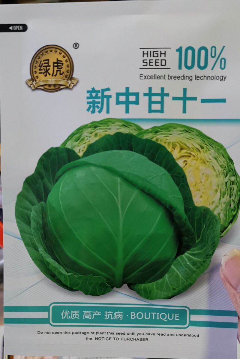 郑研珍宝甘蓝种子，近圆球形叶球美观单球重约1-1.5千克
