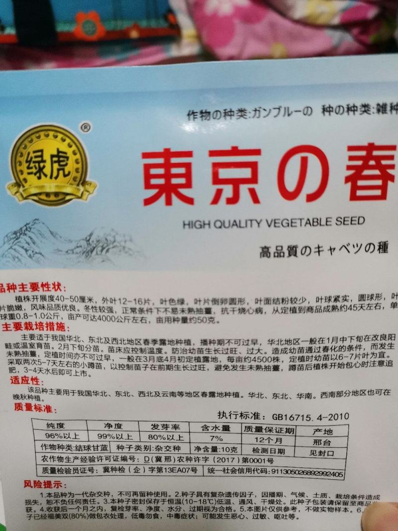 郑研珍宝甘蓝种子，近圆球形叶球美观单球重约1-1.5千克