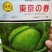 郑研珍宝甘蓝种子,近圆球形叶球美观单球重约1-1.5千克