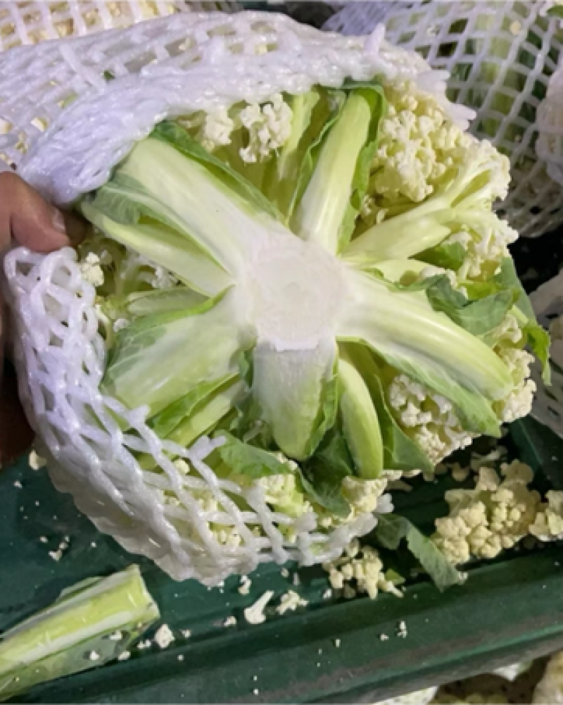 有机花菜