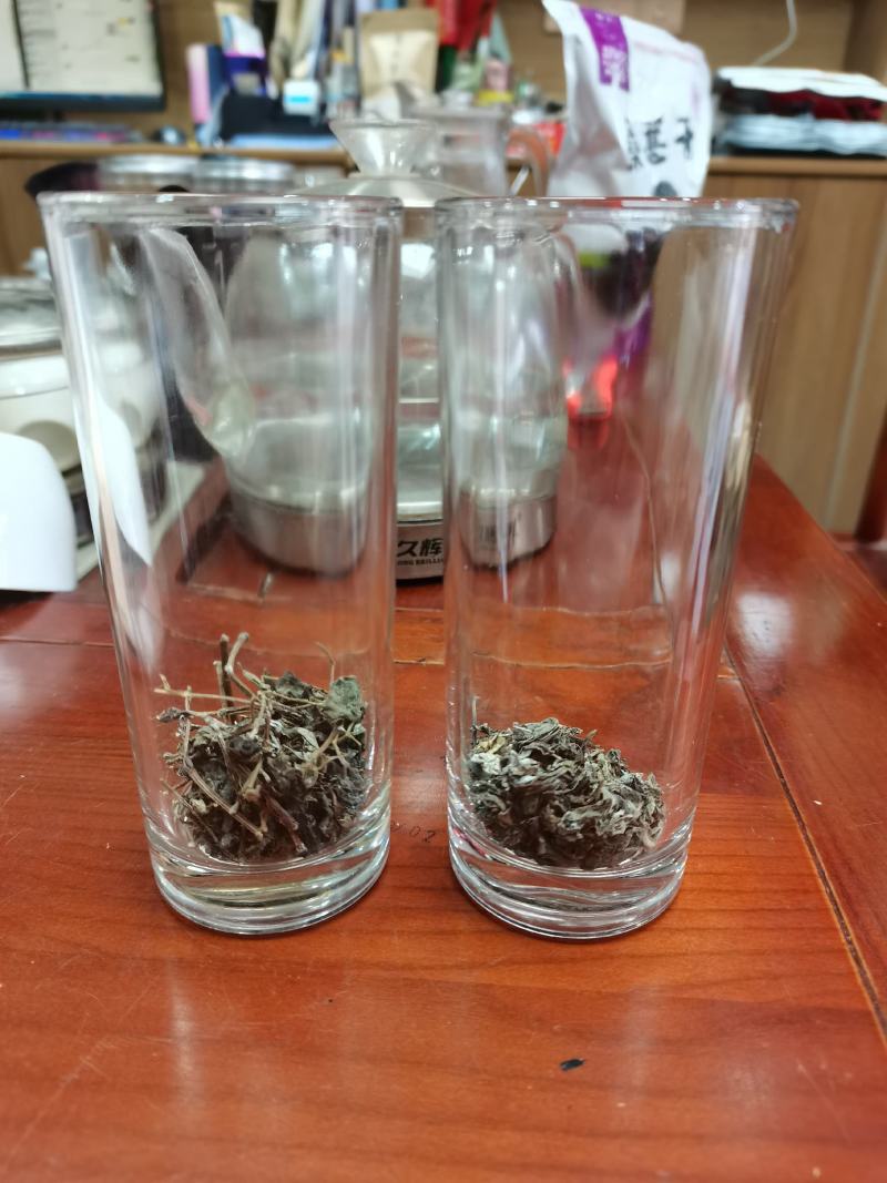 恩施藤茶叶片天然含硒含黄酮厂家直发量大价优可作提取