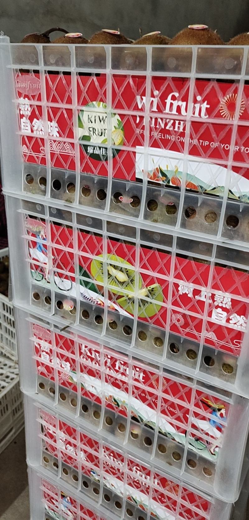 徐香猕猴桃！甜度适中！甜度可达16.3个糖度！上等猕猴桃