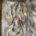 盐田虾海水虾经济实惠价格不贵，吃好回头客高