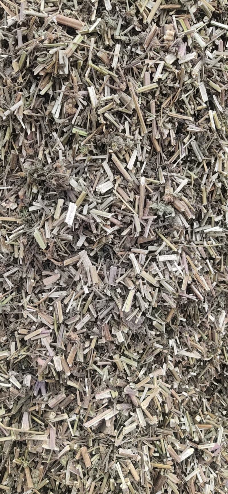荆芥租子，刀工精细，颜色好看，过风过筛