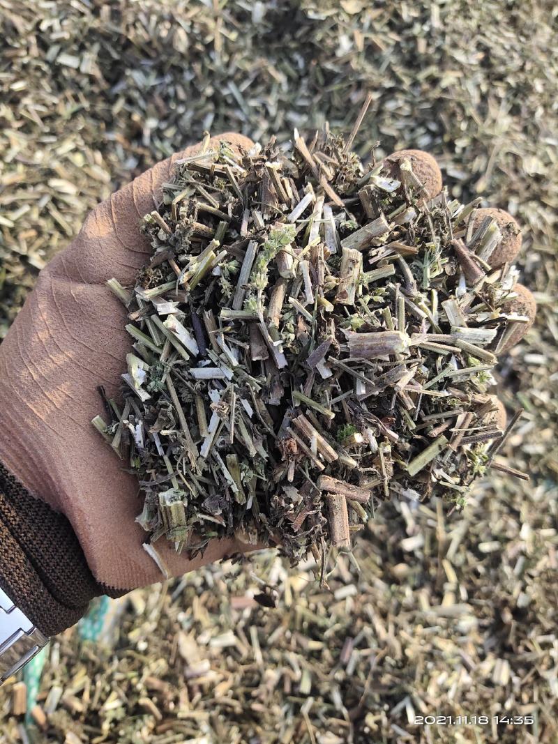 荆芥租子，刀工精细，颜色好看，过风过筛
