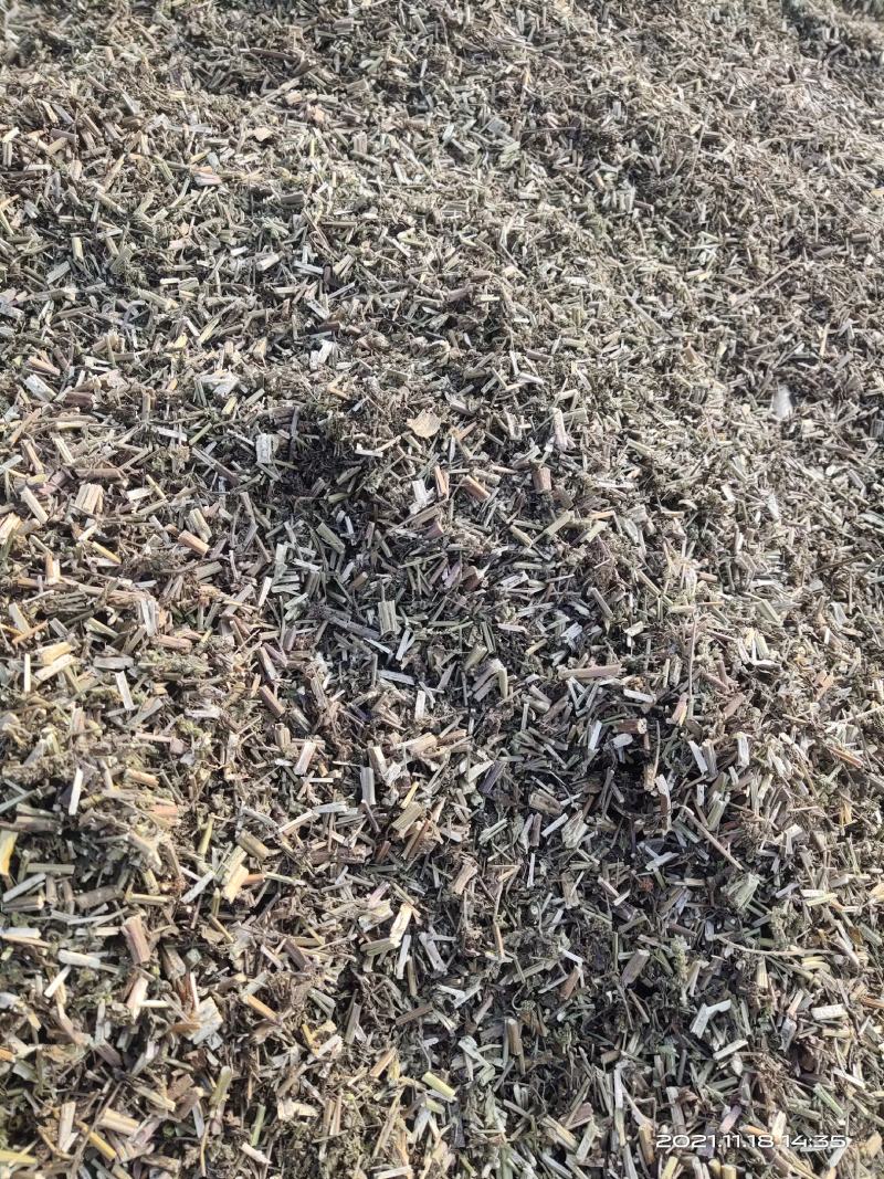 荆芥租子，刀工精细，颜色好看，过风过筛