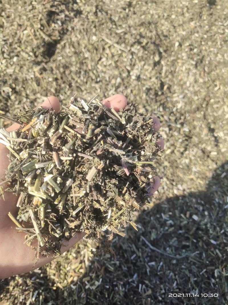 荆芥租子，刀工精细，颜色好看，过风过筛