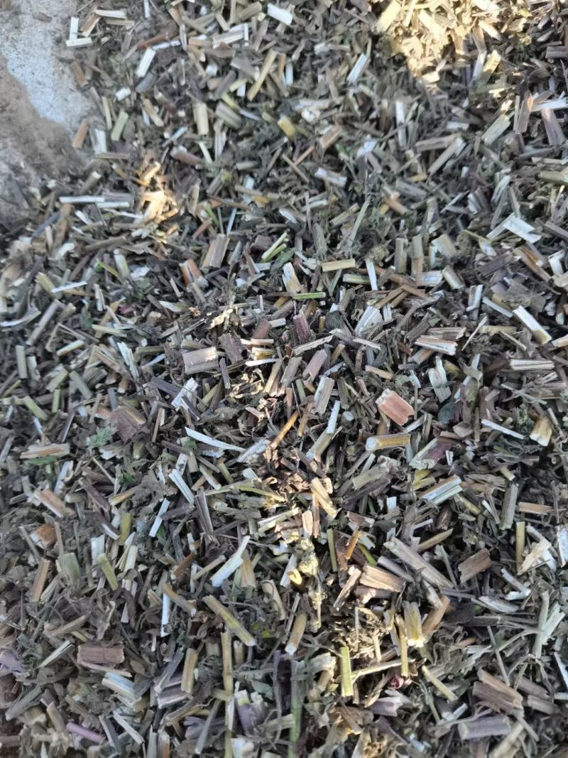 荆芥租子，刀工精细，颜色好看，过风过筛