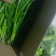 黄皮尖椒电商货，福建诏安基地新鲜直发量大！一手货源，优惠
