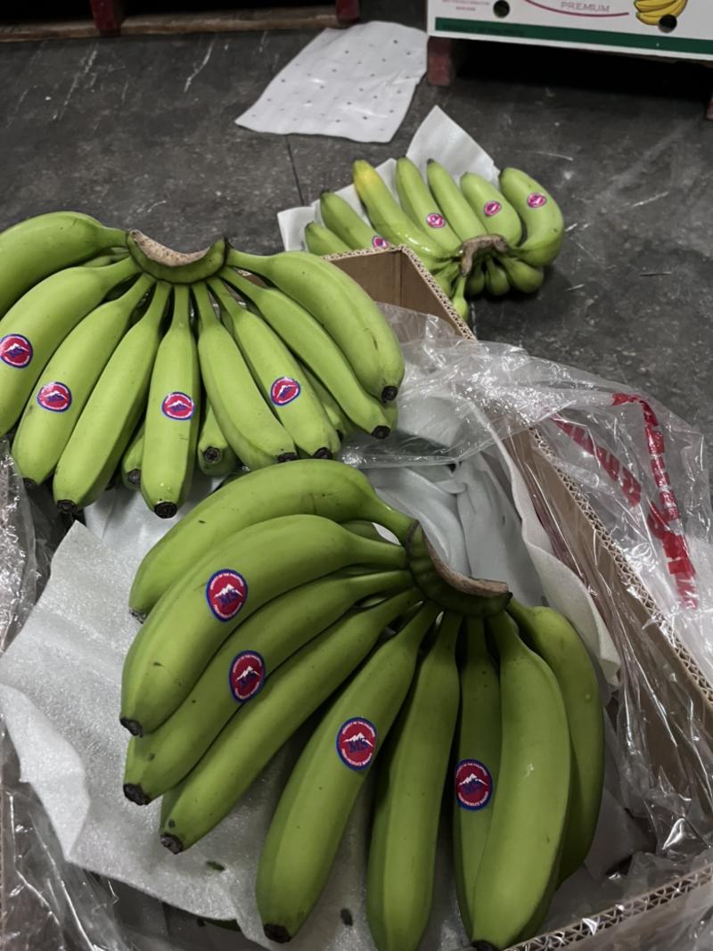 菲律宾进口精品香蕉有需要可以联系我哦