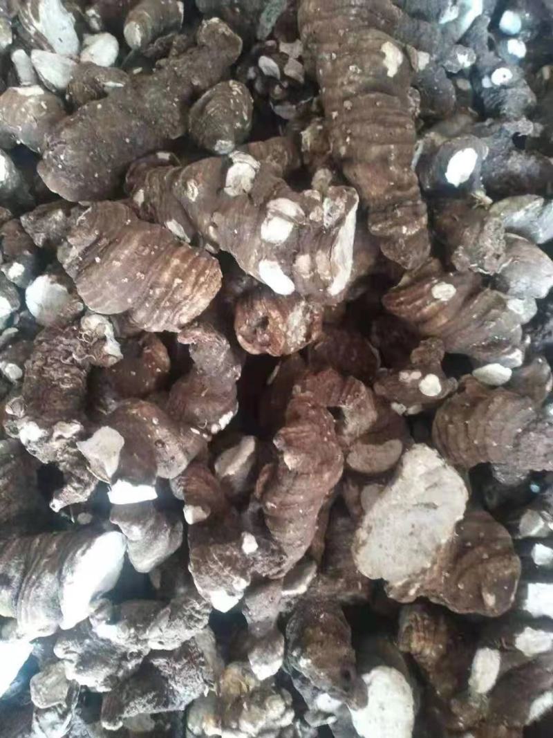 产地直发重楼价格美丽长期供货各种规格大货详谈
