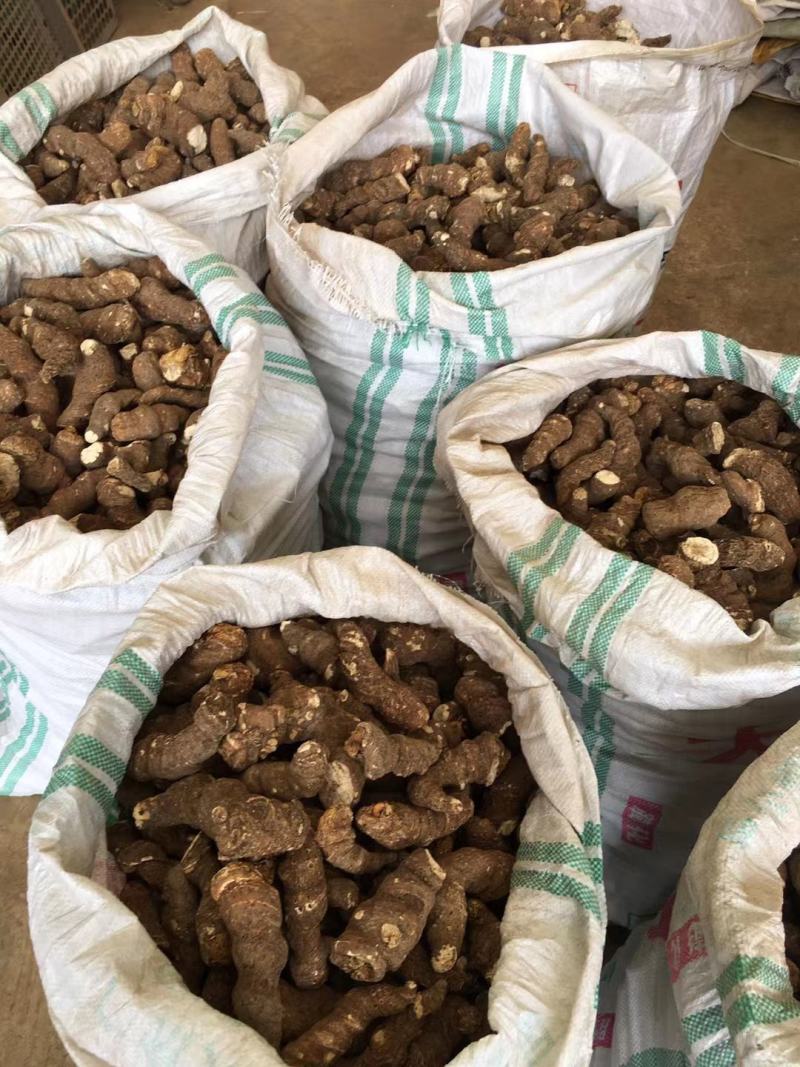 产地直发重楼价格美丽长期供货各种规格大货详谈