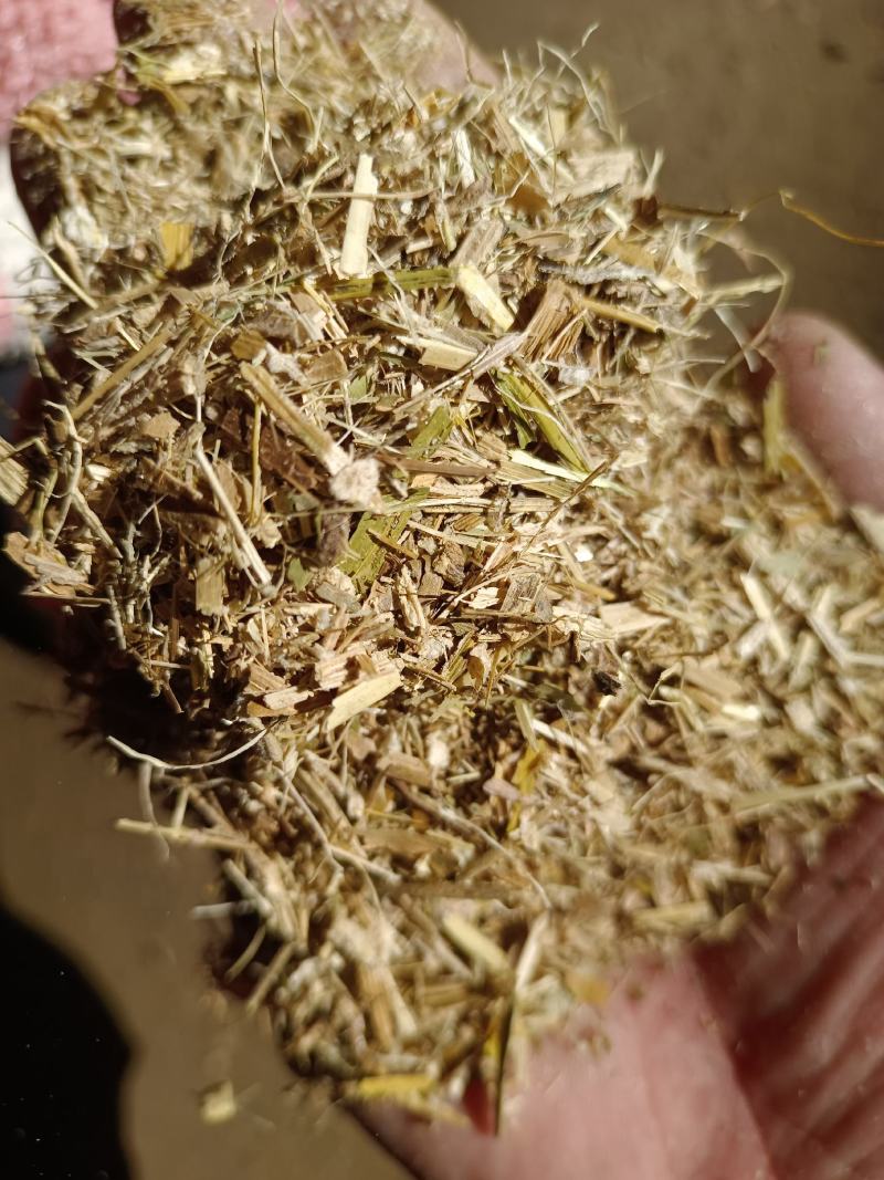 干玉米秸秆揉丝草粉、铡段压块，风选除尘水分安全过夏