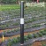 地膜银黑双色地膜反光保湿降温除虫除草盖草果树果园蔬菜大棚