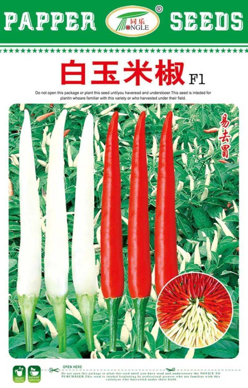 白玉米椒白米椒白朝天椒种子一包5克正品包邮