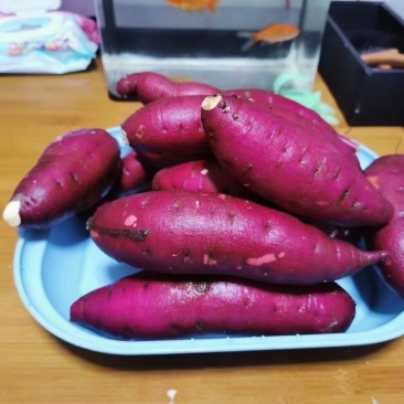 红薯，高端玛莎莉蜜薯