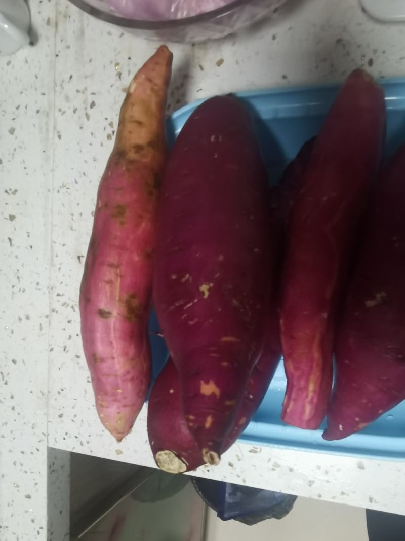 红薯，高端玛莎莉蜜薯