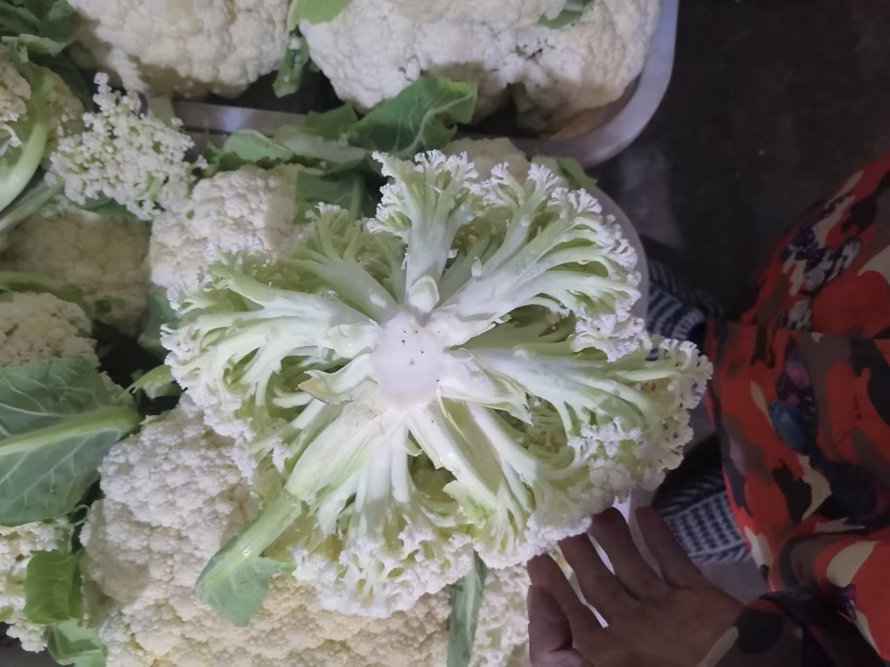 西兰花挑选与保存技巧示意图